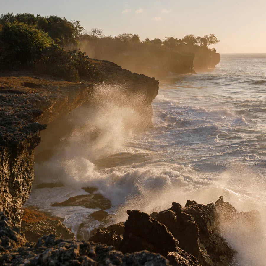 Megan's Favorite Coastal Fragrances
