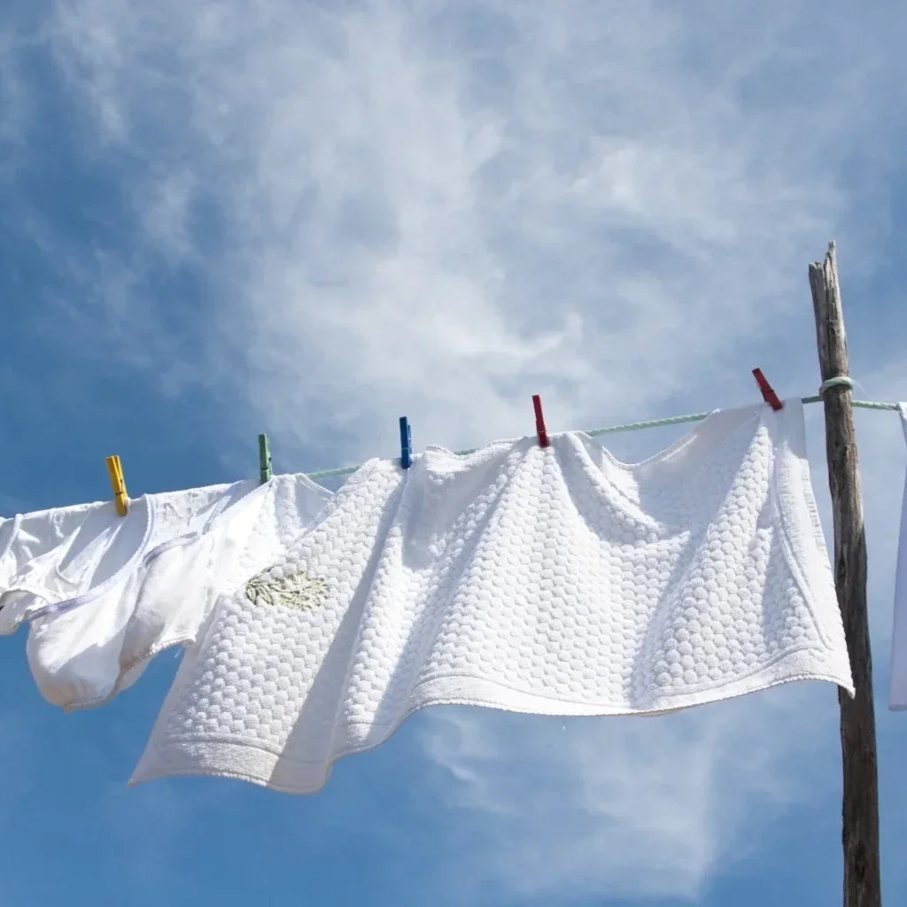 Top 5 Clean & Fresh Scents for Candles & Soaps That Brighten Any Room