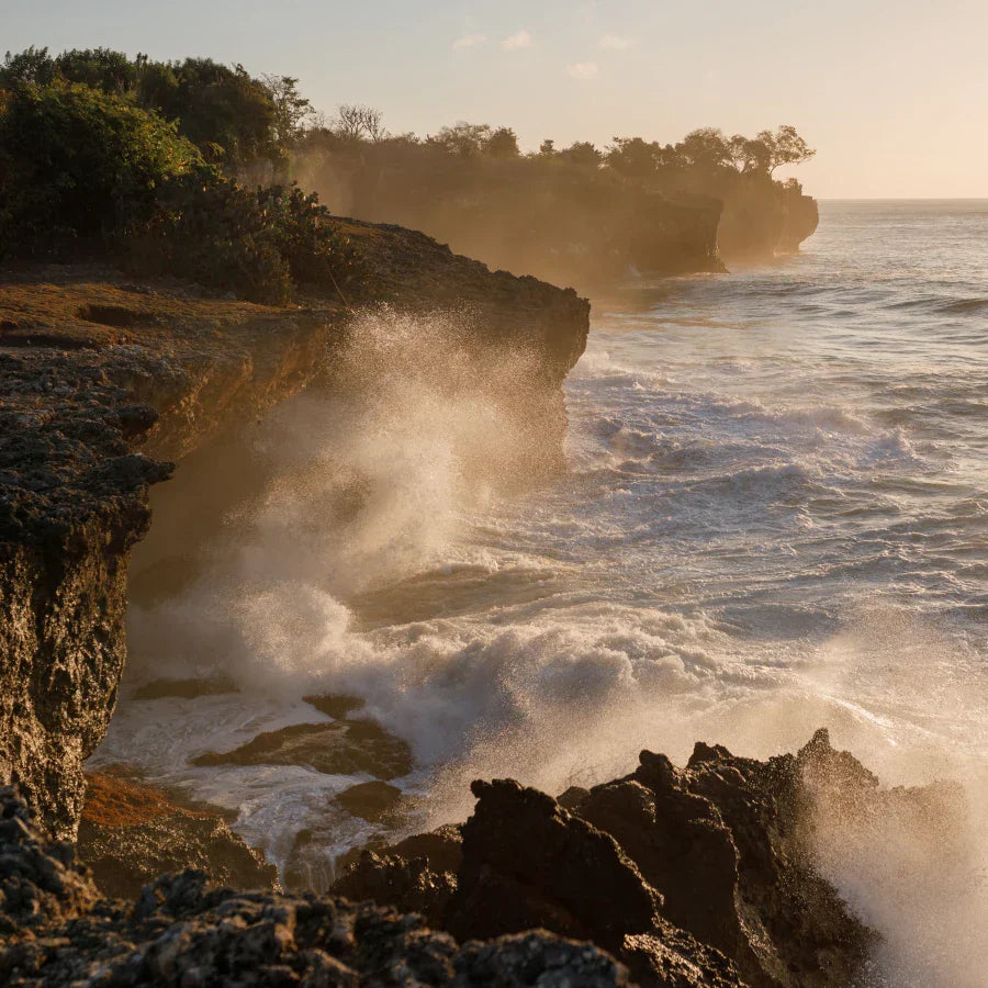 Megan's Favorite Coastal Fragrances