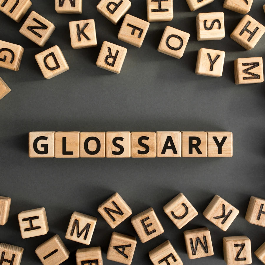 Glossary of Terms