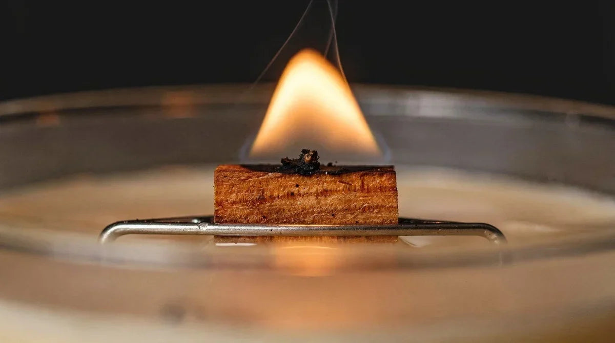 Close-up of a wooden candle wick burning in melted wax