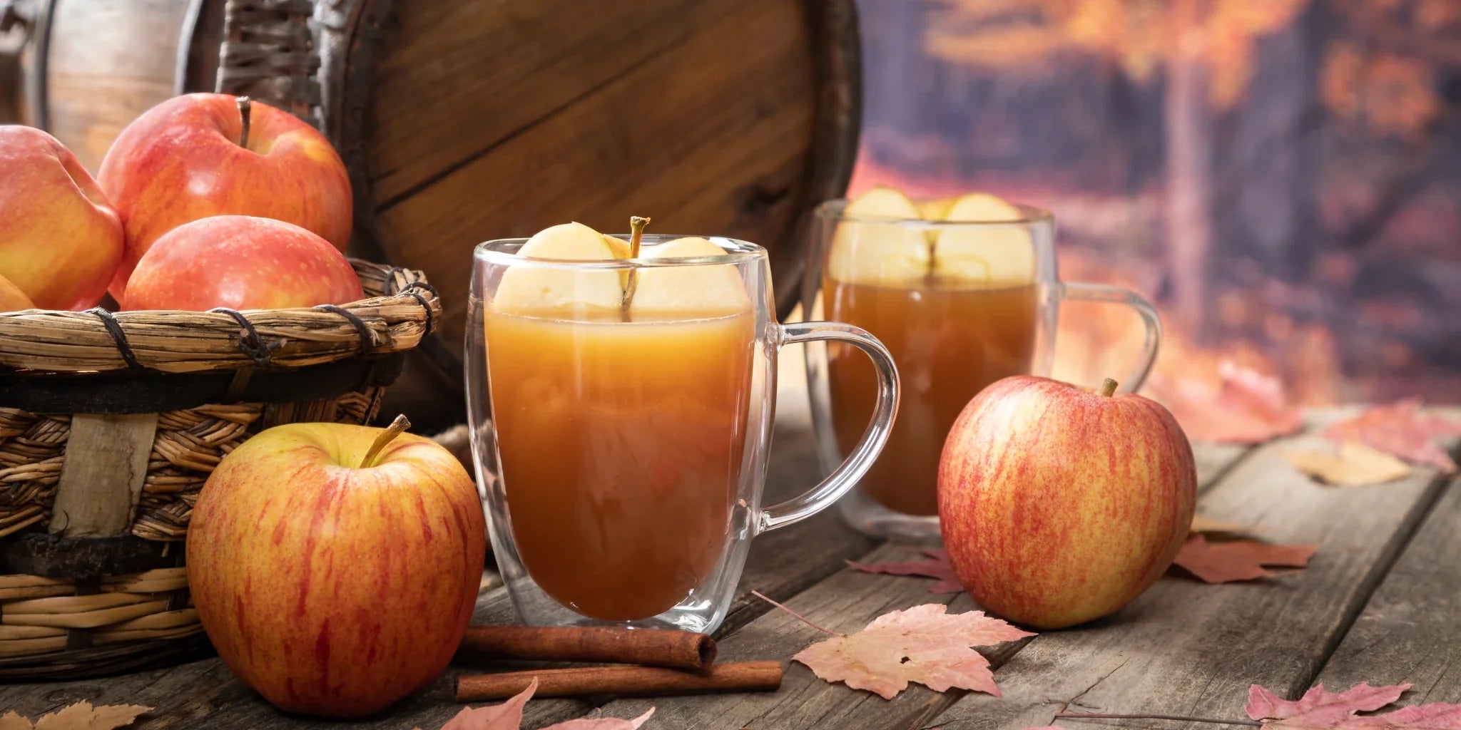 Cider & Spice Fragrance Oil Collection
