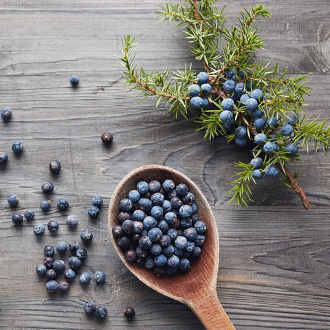 Juniper Cedar Forest Fragrance Oil – Scented Flame Candle Supply